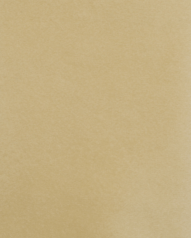 SMV 2 Nude Cream SMV 2